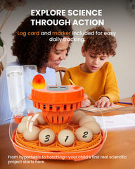 Homcolorful egg turning tray detail illustrating automatic rotation benefit