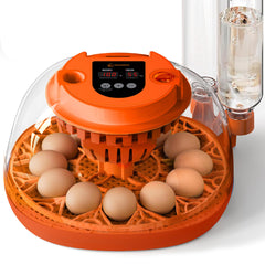 Homcolorful front view showing incubator filled with eggs and clear benefits