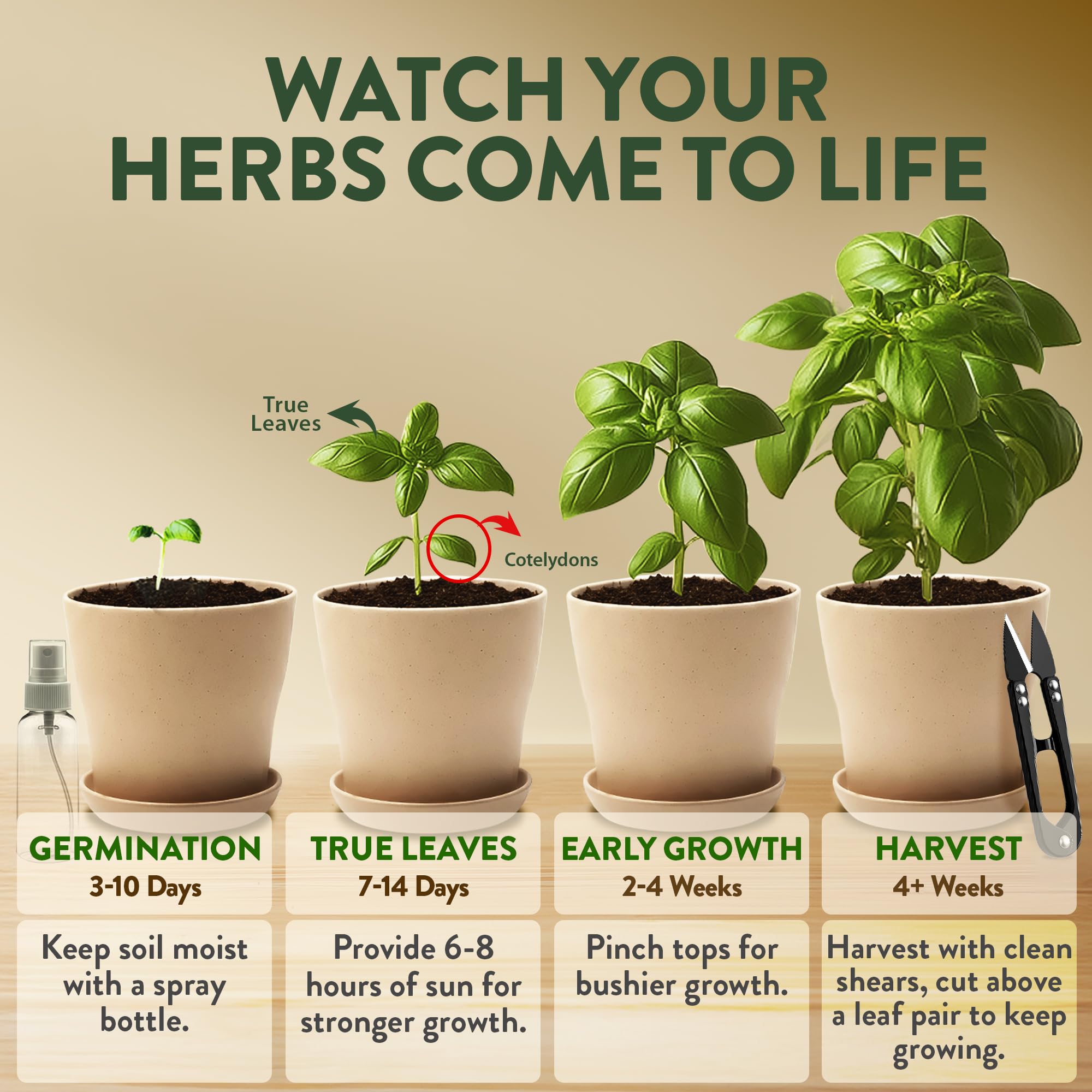 HOME GROWN plant markers and labels keeping herbs organized and tracked