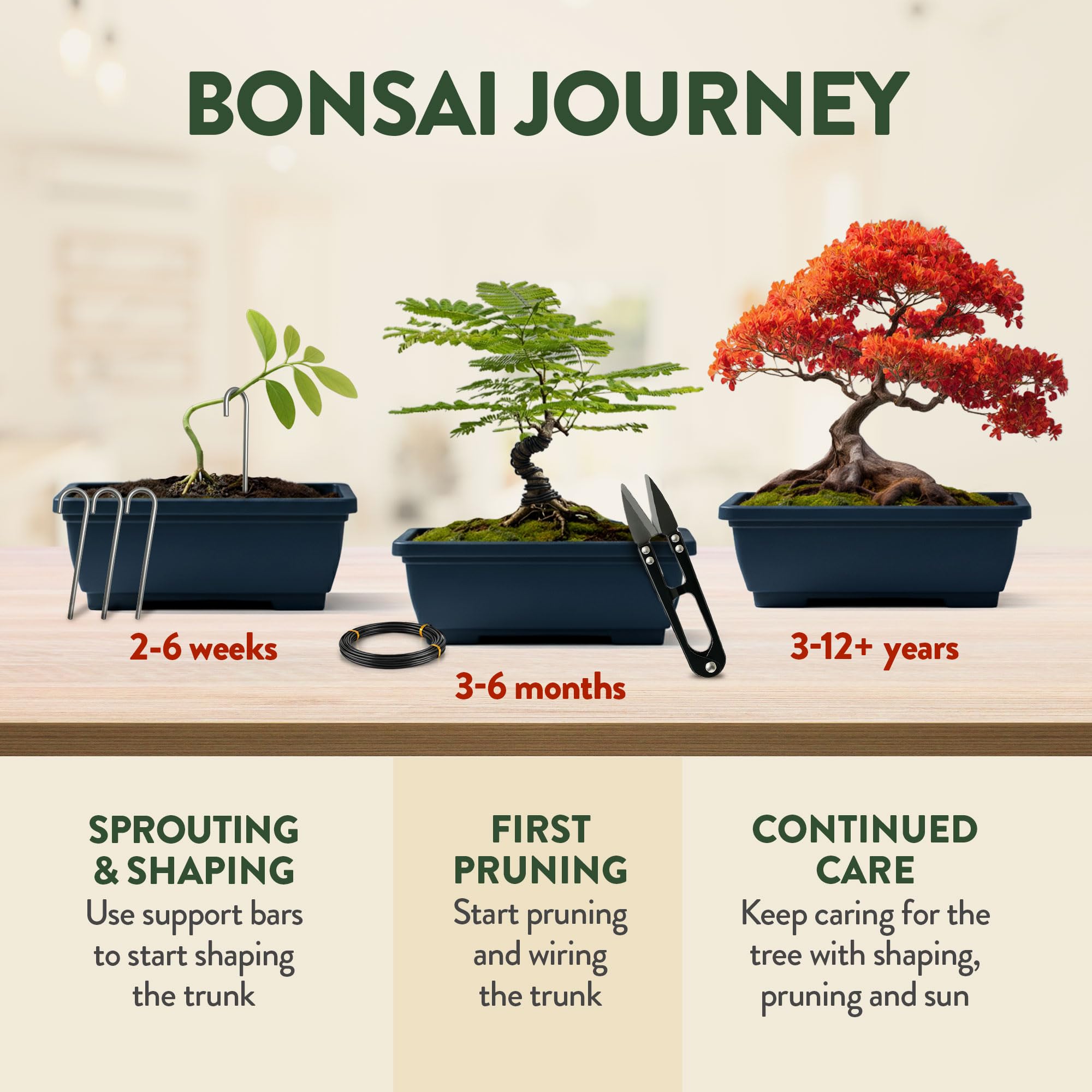 HOME GROWN open instruction guide laid out with step-by-step planting and pruning visuals