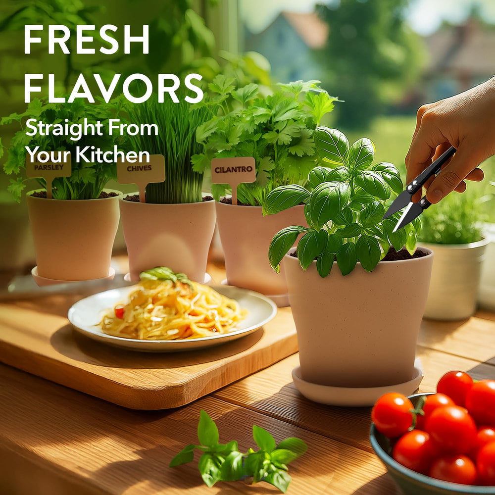 HOME GROWN kitchen scene with planted herbs enhancing cooking convenience