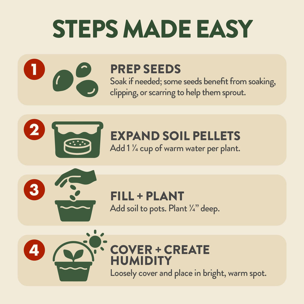 HOME GROWN individual seed packets for four tree varieties with clear labeling for variety