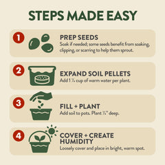 HOME GROWN individual seed packets for four tree varieties with clear labeling for variety