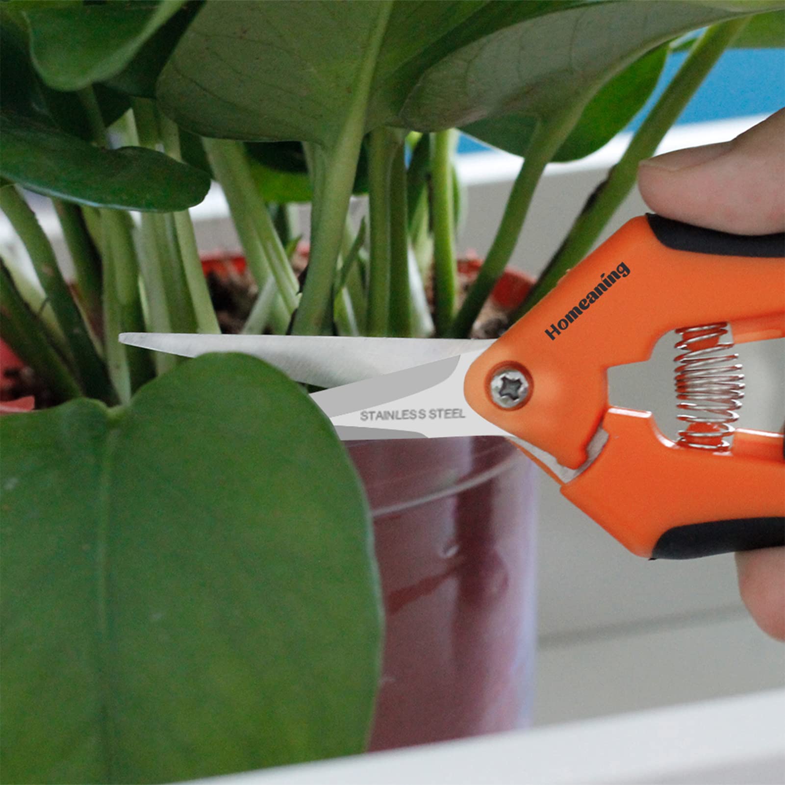 HOMEANING twelve pruning snips laid out showing bulk supply for workshops and teams