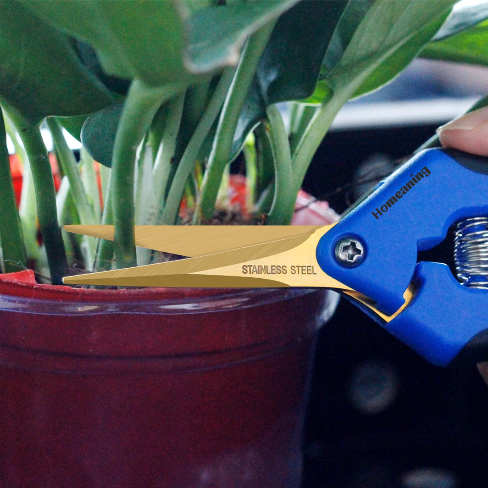HOMEANING pruning shears in use trimming a rose showing clean-cut benefit