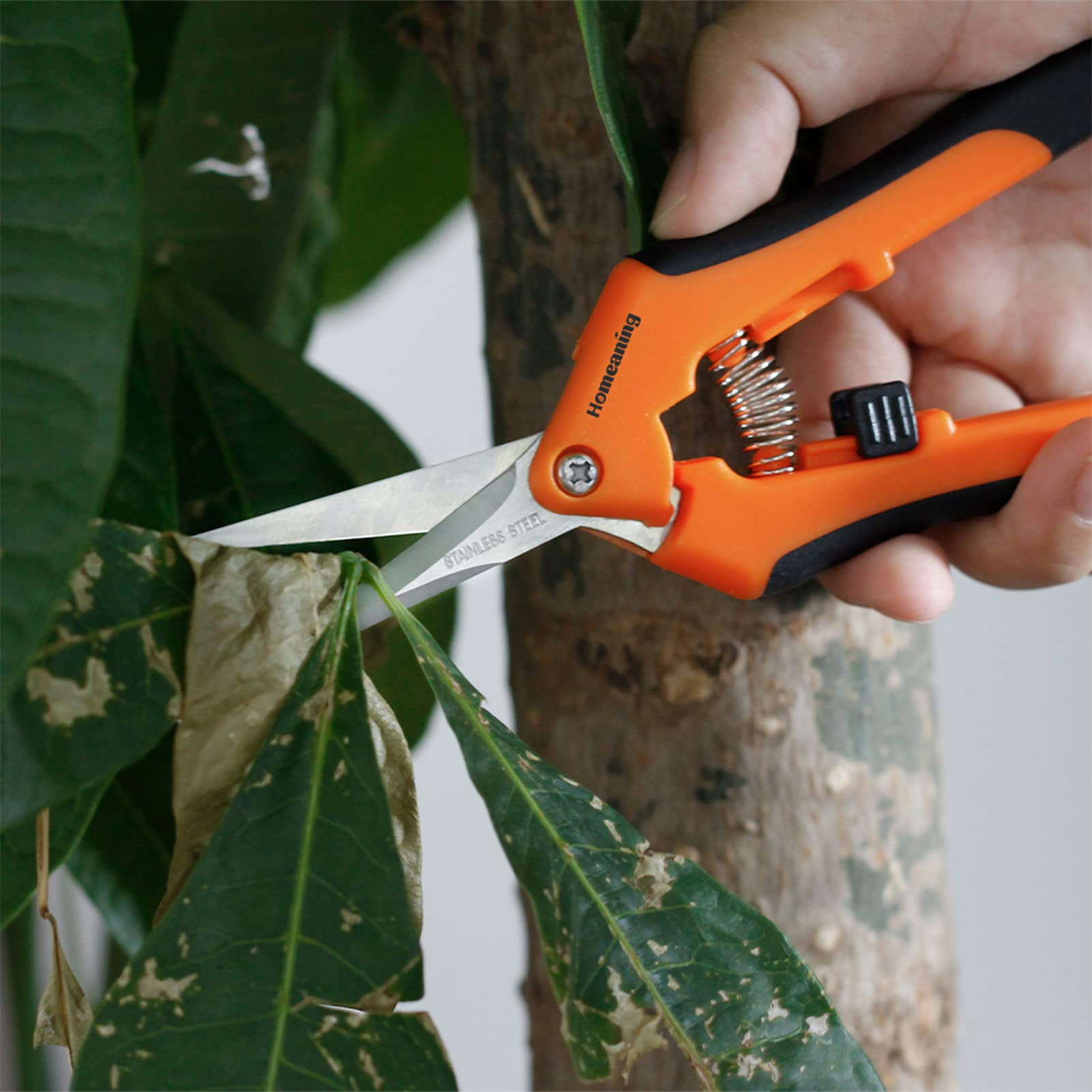 HOMEANING shears used on a balcony garden conveying convenience for small-space gardening