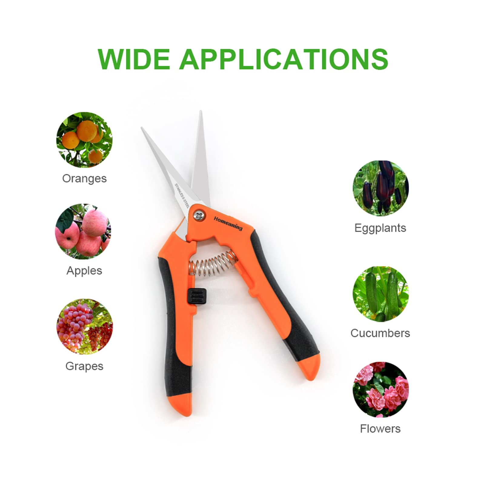 HOMEANING shears held in hand for scale showing compact size for controlled cuts