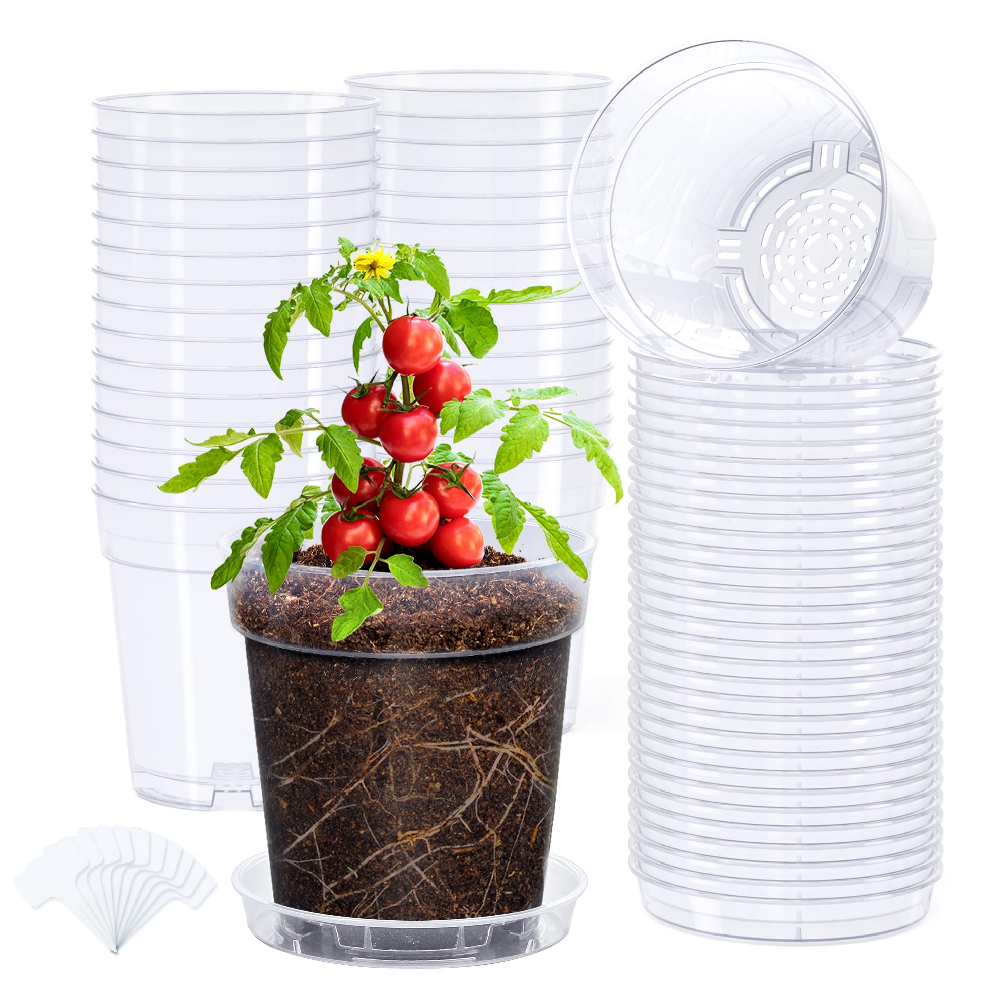 homenote front stack of clear pots showing tidy storage and quick access
