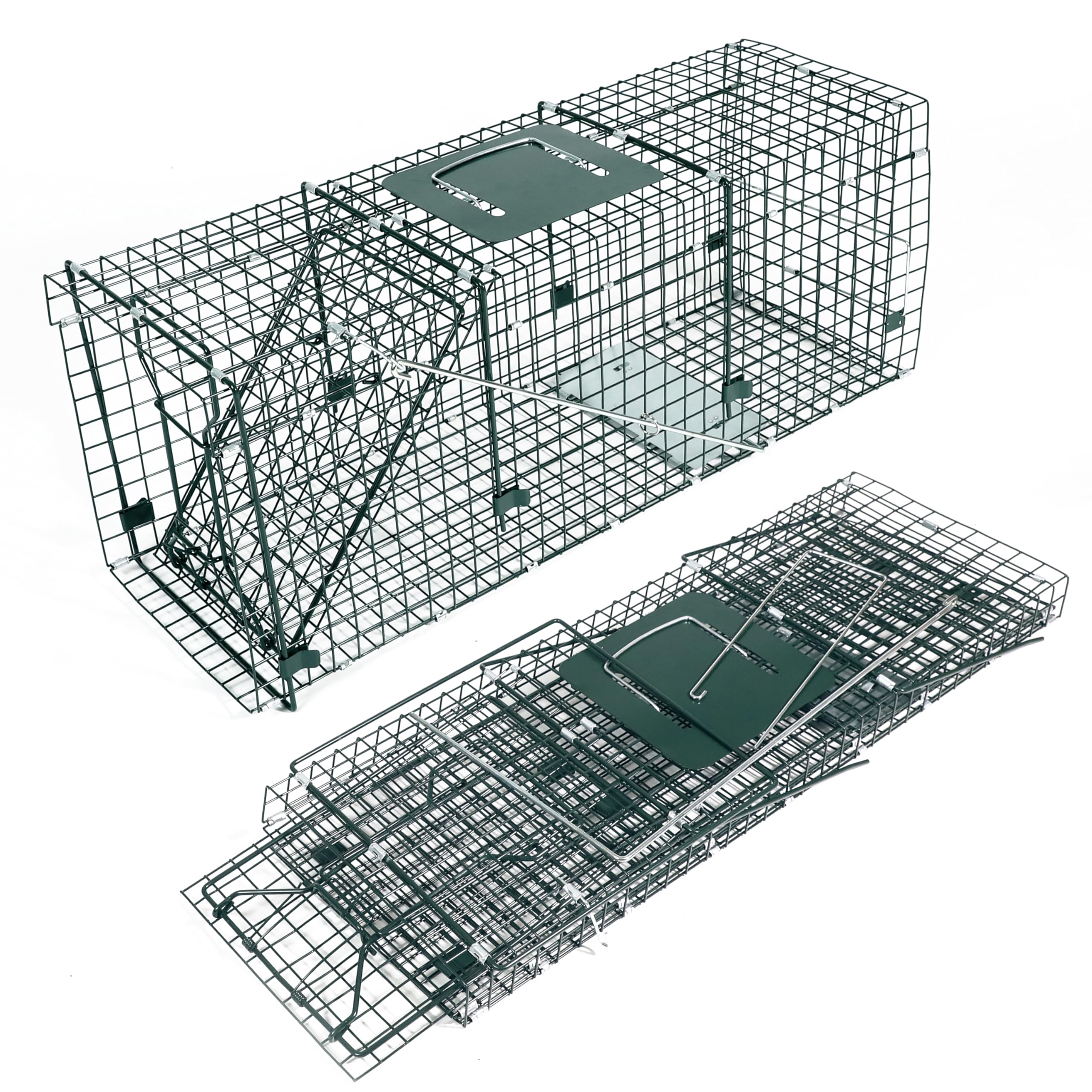 HOMESTEAD front view of 32 inch trap showing sturdy build and secure entry benefit