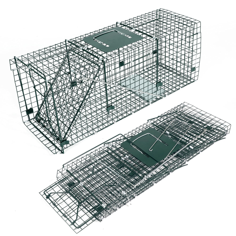 HOMESTEAD front view of 32 inch trap showing sturdy build and secure entry benefit