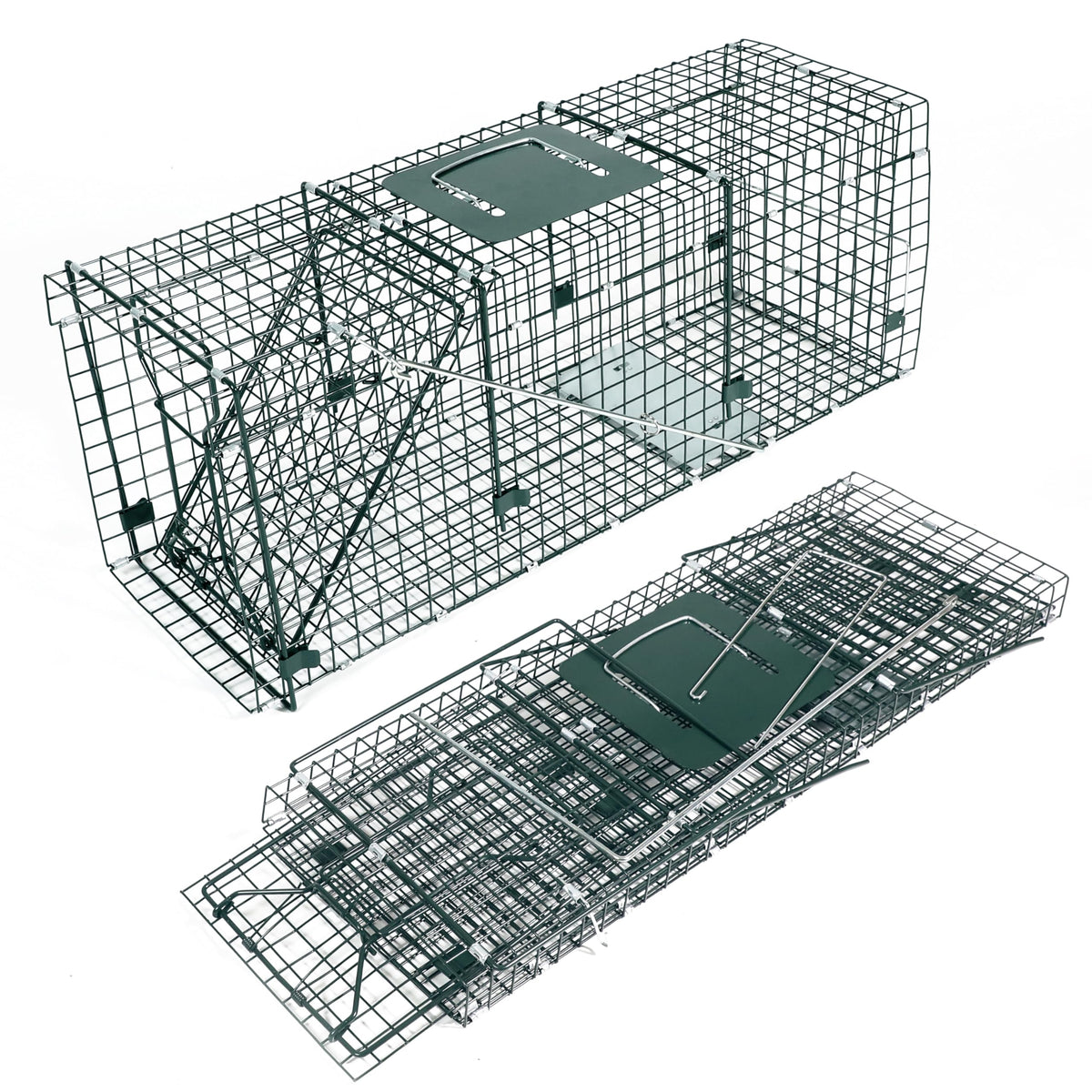 HOMESTEAD front view of 32 inch trap showing sturdy build and secure entry benefit