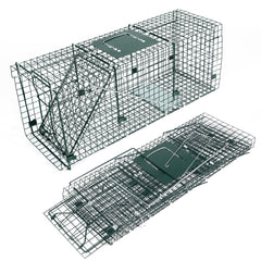 HOMESTEAD front view of 32 inch trap showing sturdy build and secure entry benefit