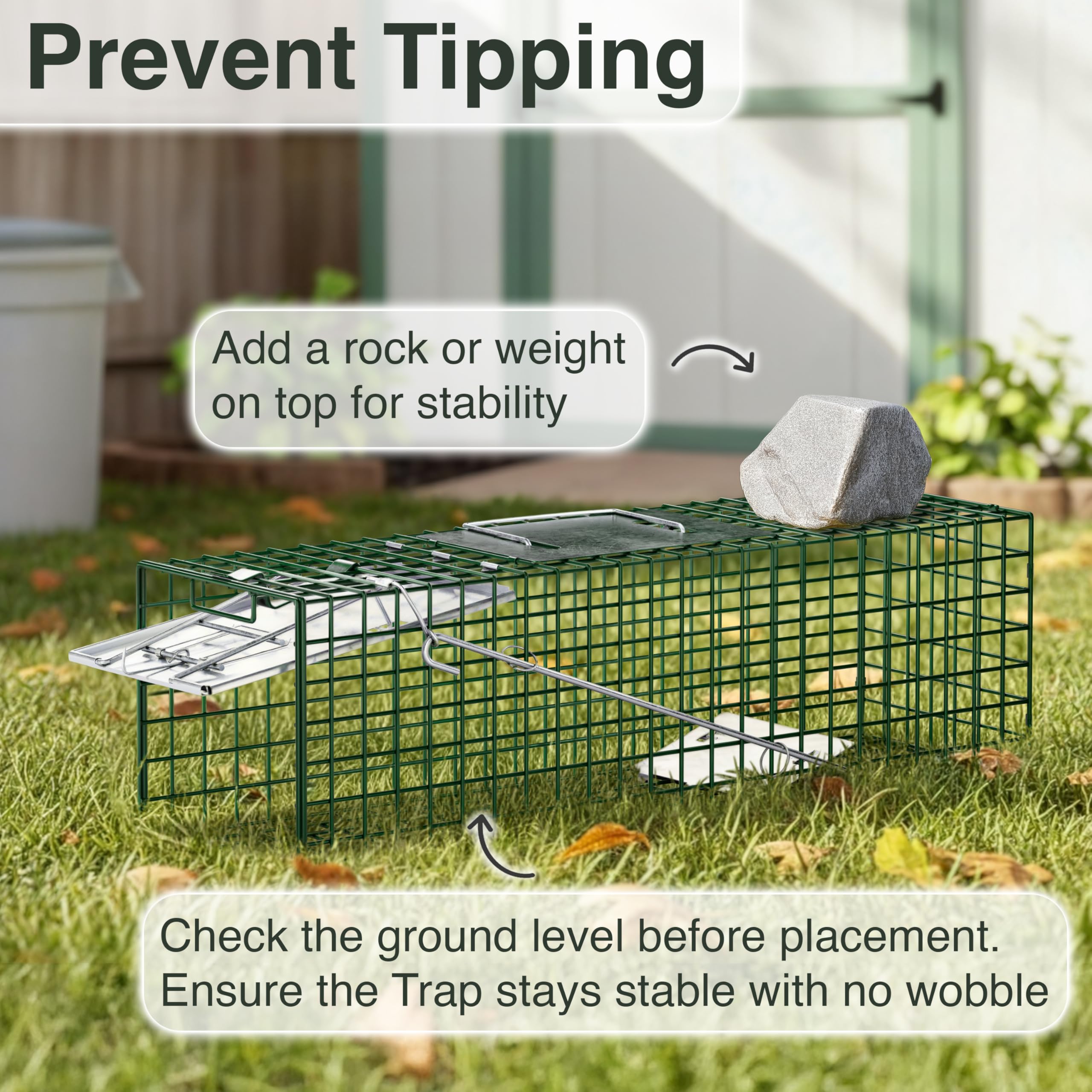 HOMESTEAD bait tray close-up demonstrating secure bait placement to attract animals