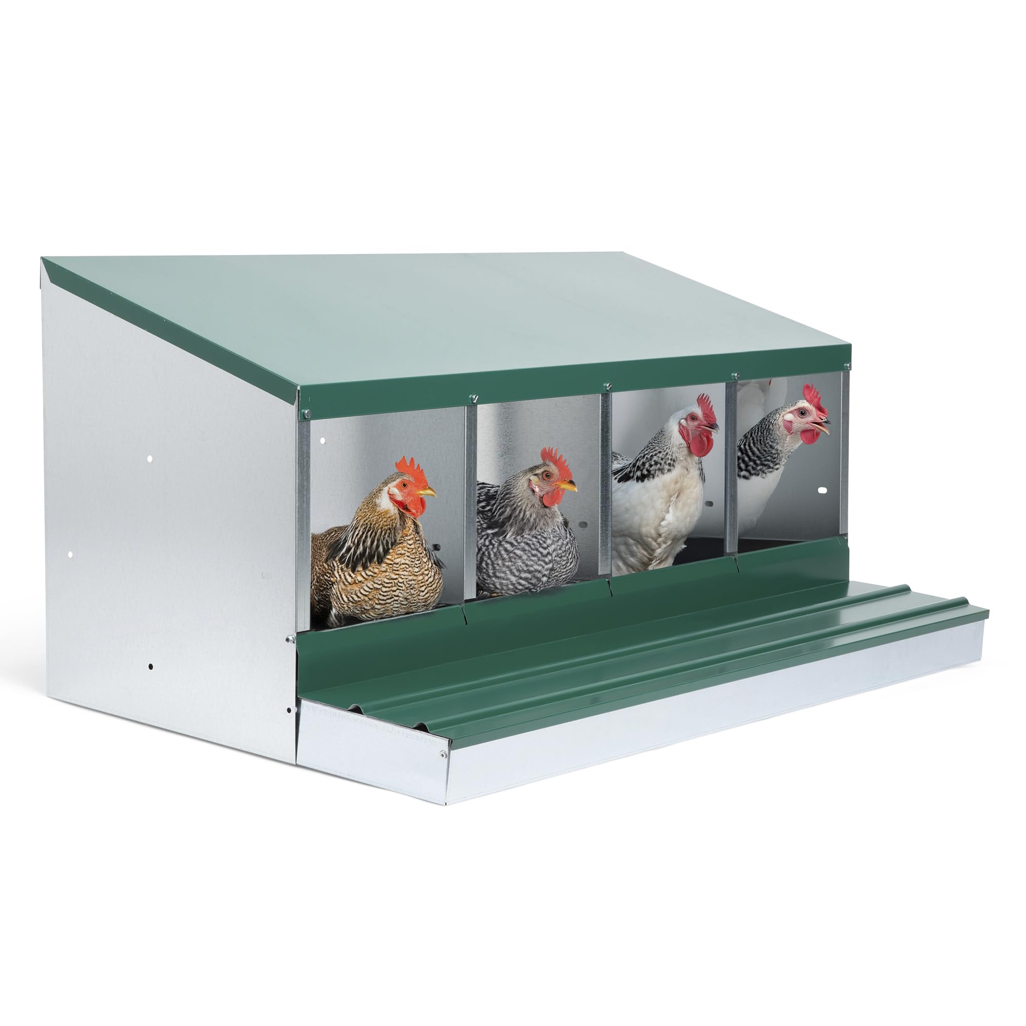 Homestead Essentials front view of four-compartment nesting box showing layout and build quality