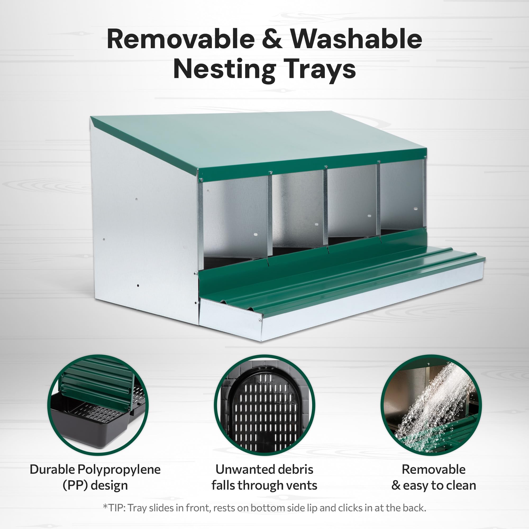 Homestead Essentials protective lid open with eggs visible and safe from pecking