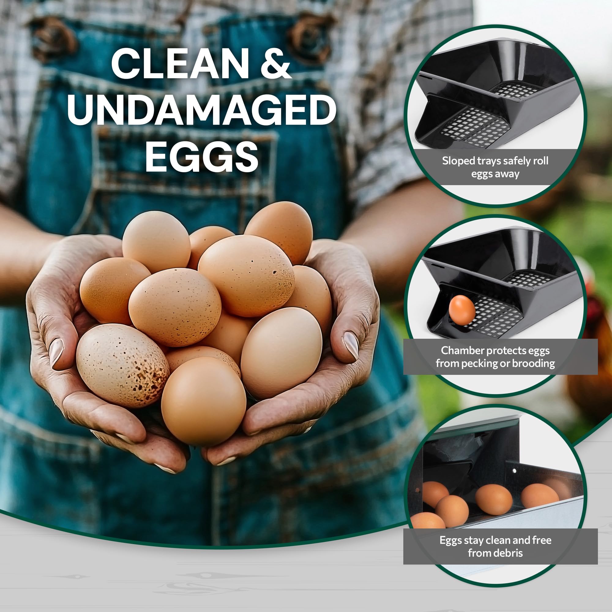 Homestead Essentials removable plastic trays close-up showing easy-clean surfaces