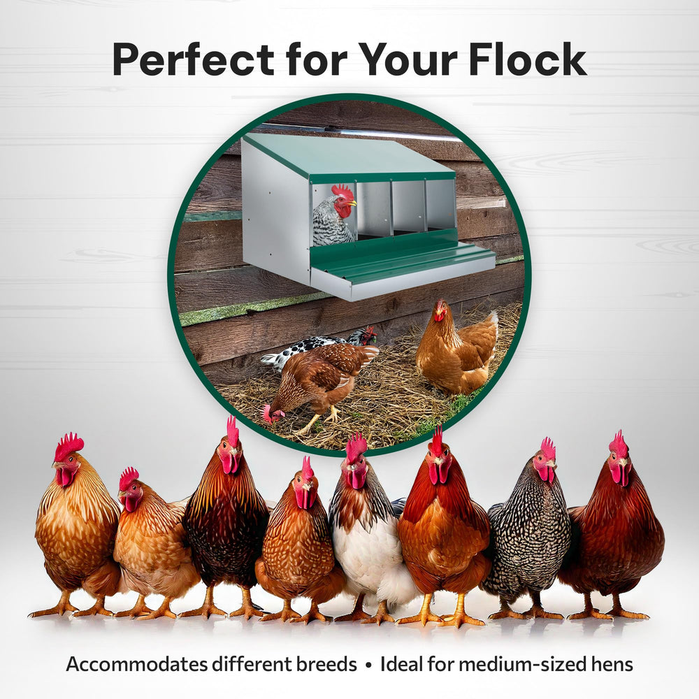 Homestead Essentials side profile showing forward-rollout angle that protects eggs