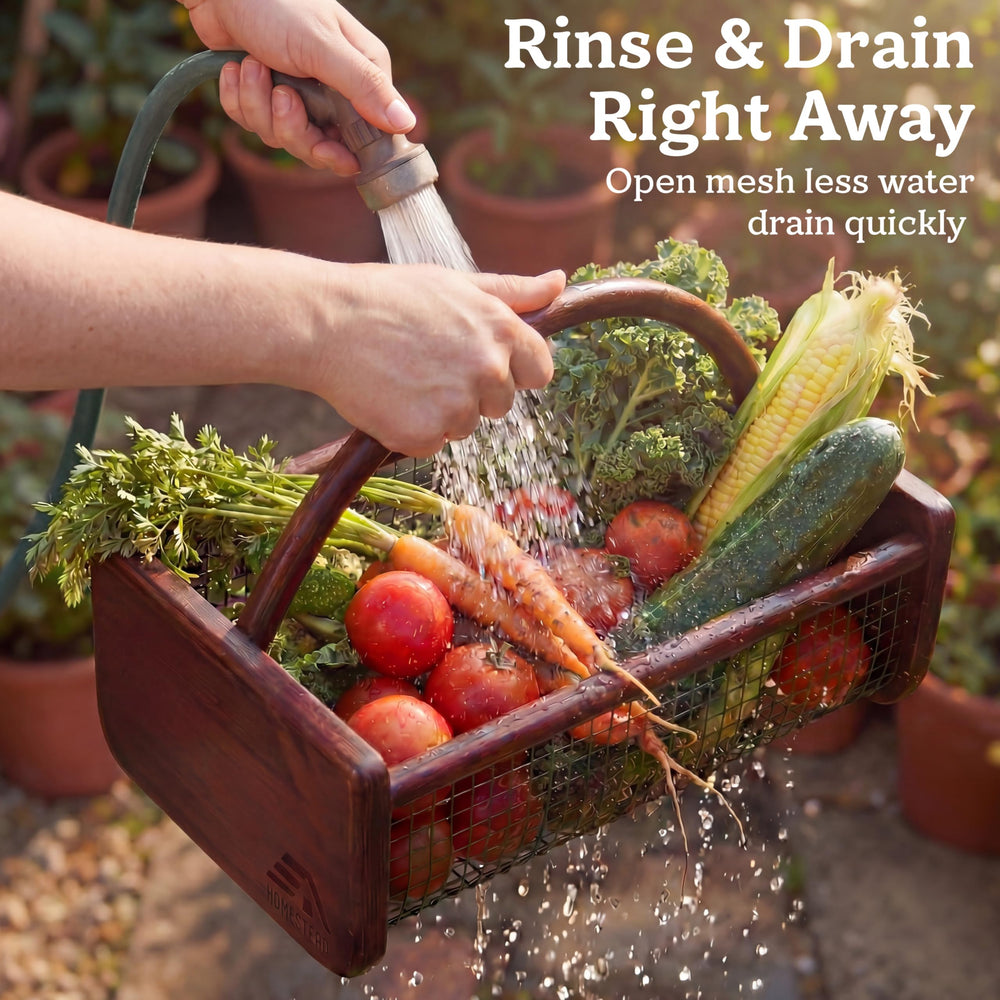 HOMESTEAD basket placed among plants illustrating outdoor harvesting convenience