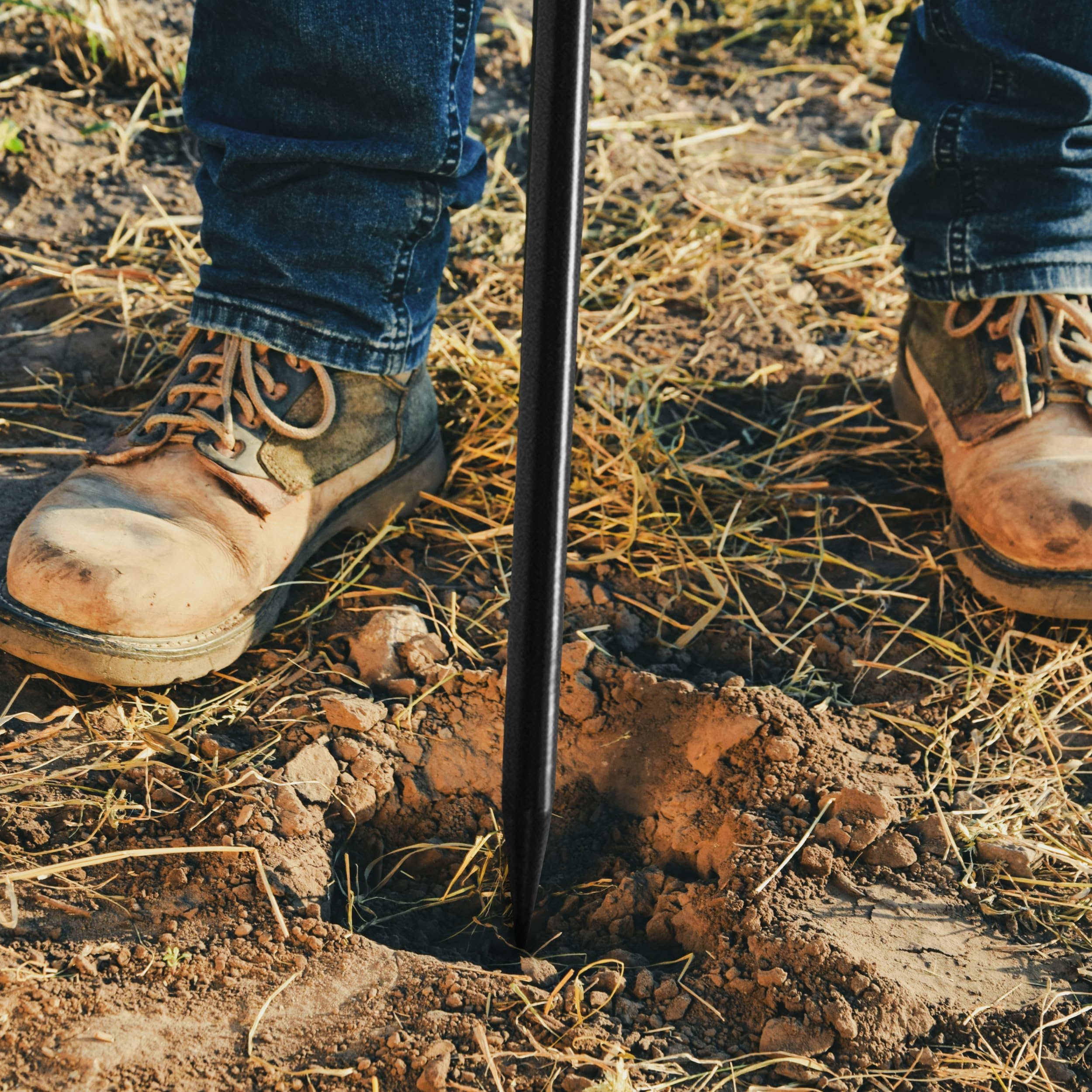 HOMESTEAD lifestyle scene of homeowner inspecting yard to prevent accidental digs