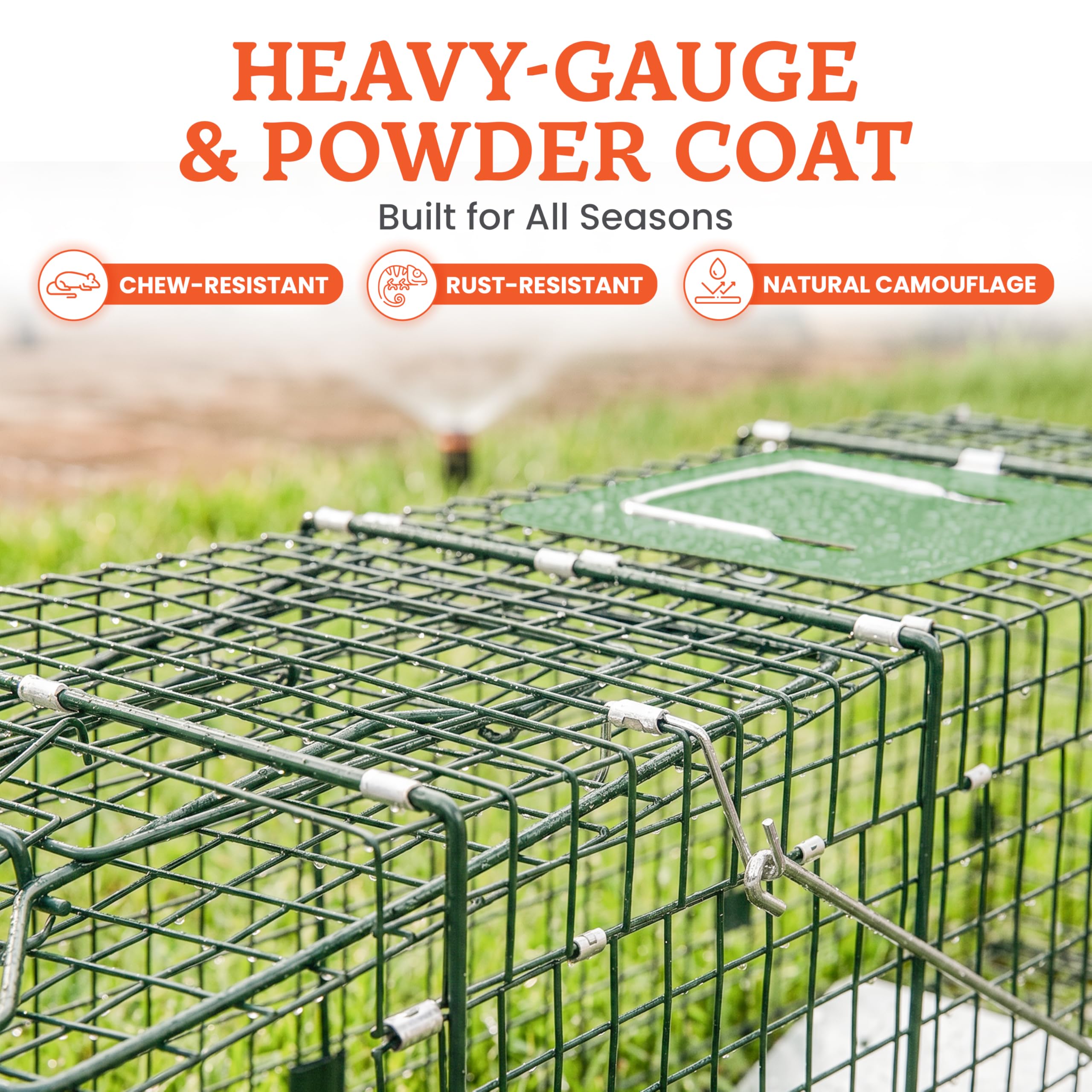 HOMESTEAD bait placed inside trap demonstrating proper setup and effective attraction benefit