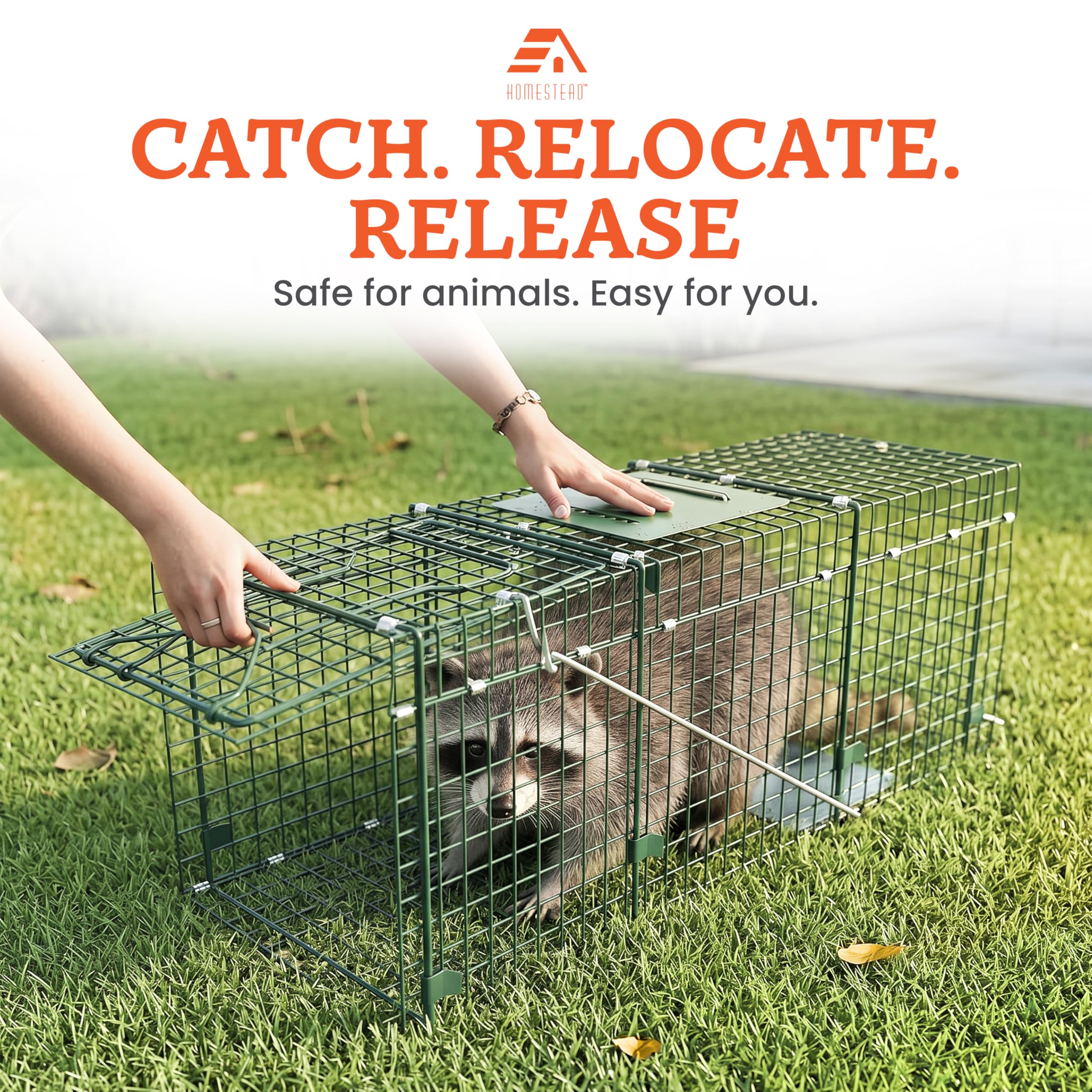 HOMESTEAD trap set outdoors in a yard showing real-world use and practical control benefit