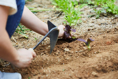HOMI YOUNGJU homi in use digging a planting furrow for precise soil work