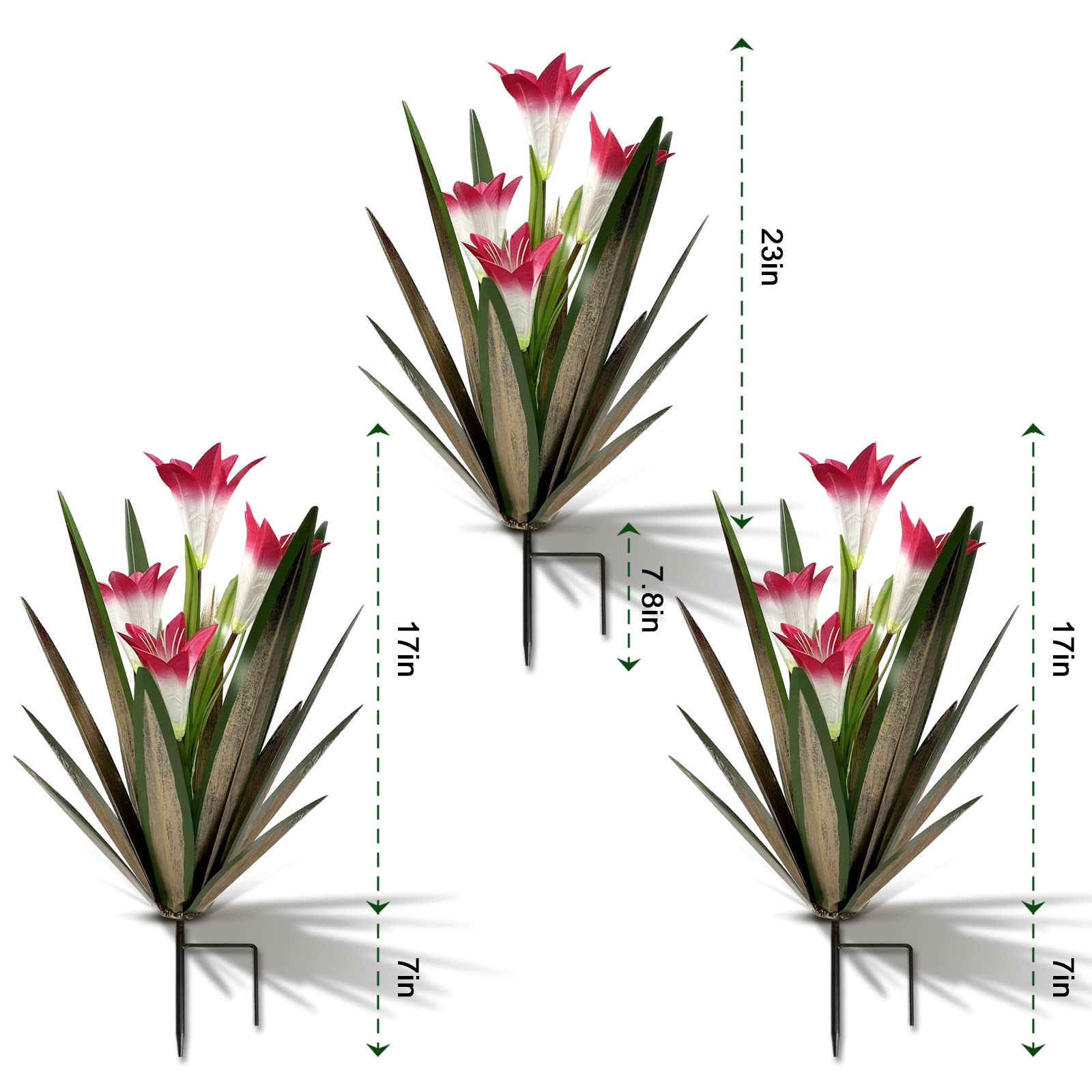 Homight agave en terraza creando punto focal decorativo y sin mantenimiento