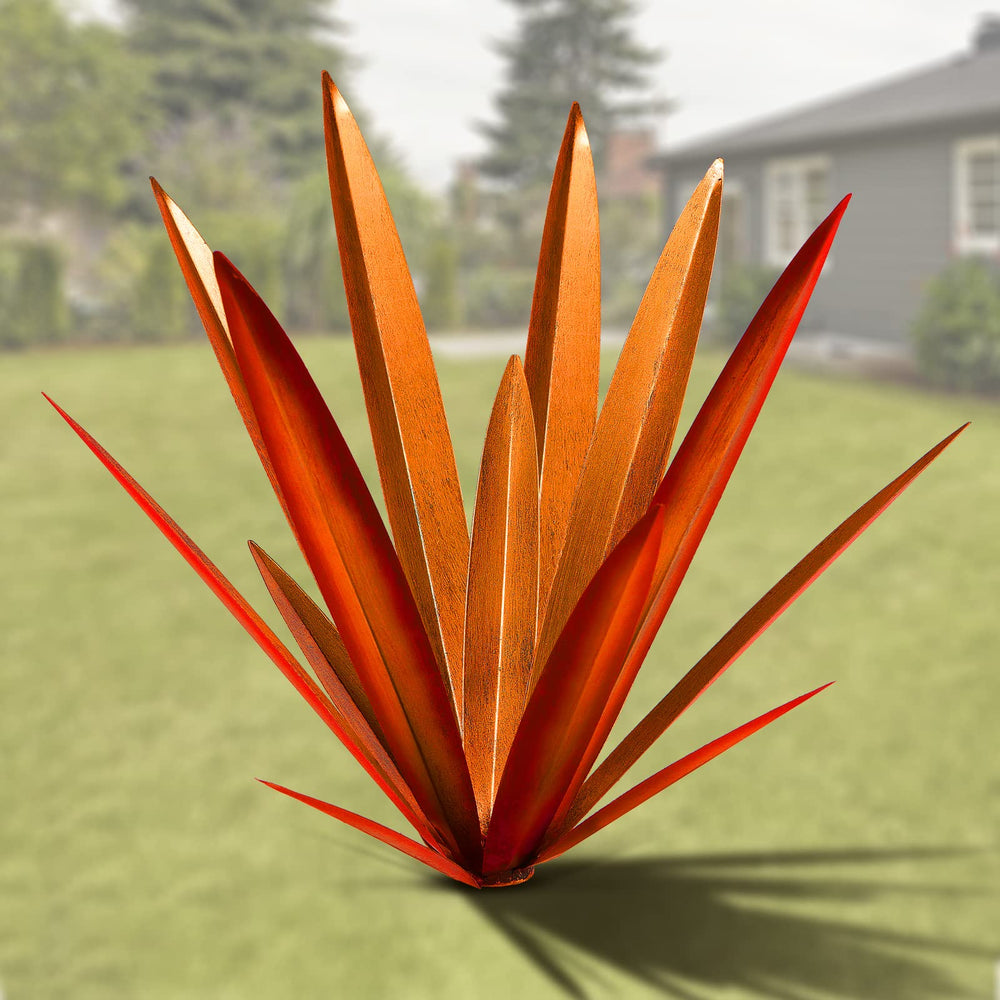Homight agave next to ruler for scale illustrating size and proportion