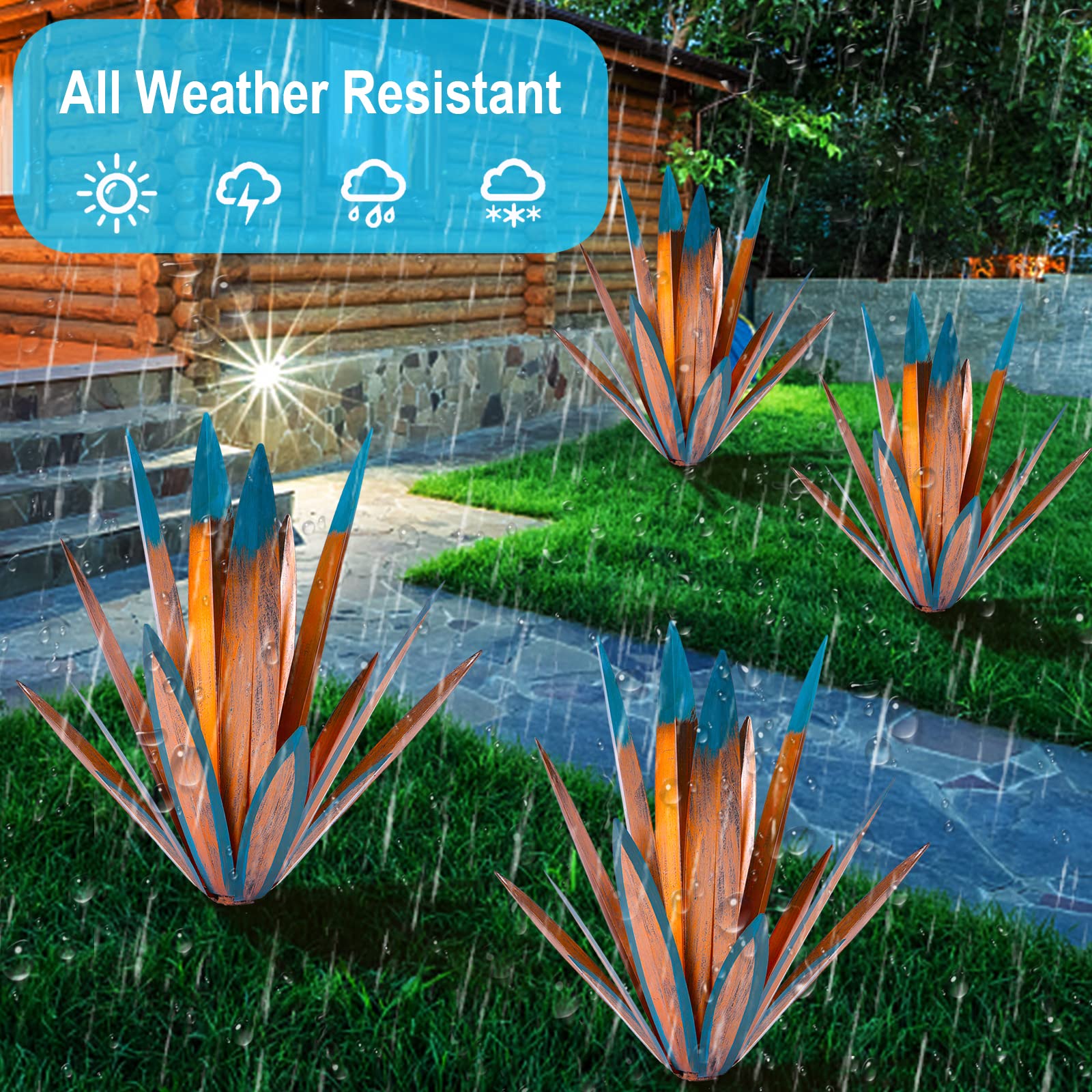 Homight agave next to chair for scale showing substantial presence and size