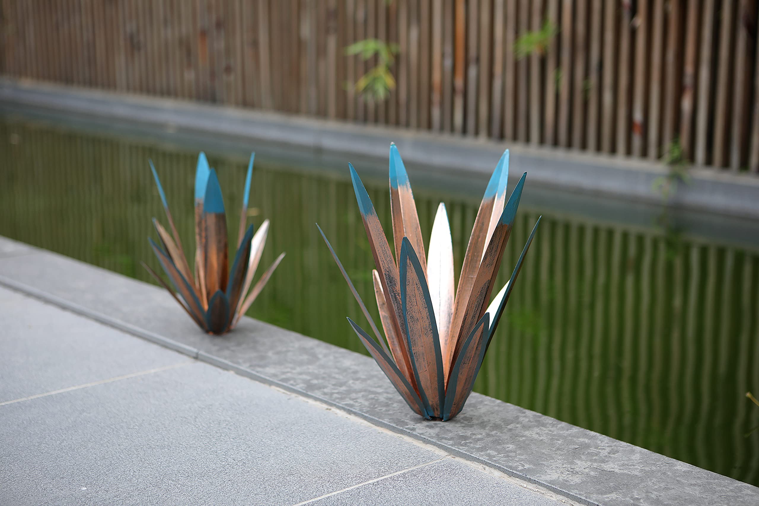 Homight agave on patio beside seating showing instant landscape focal point