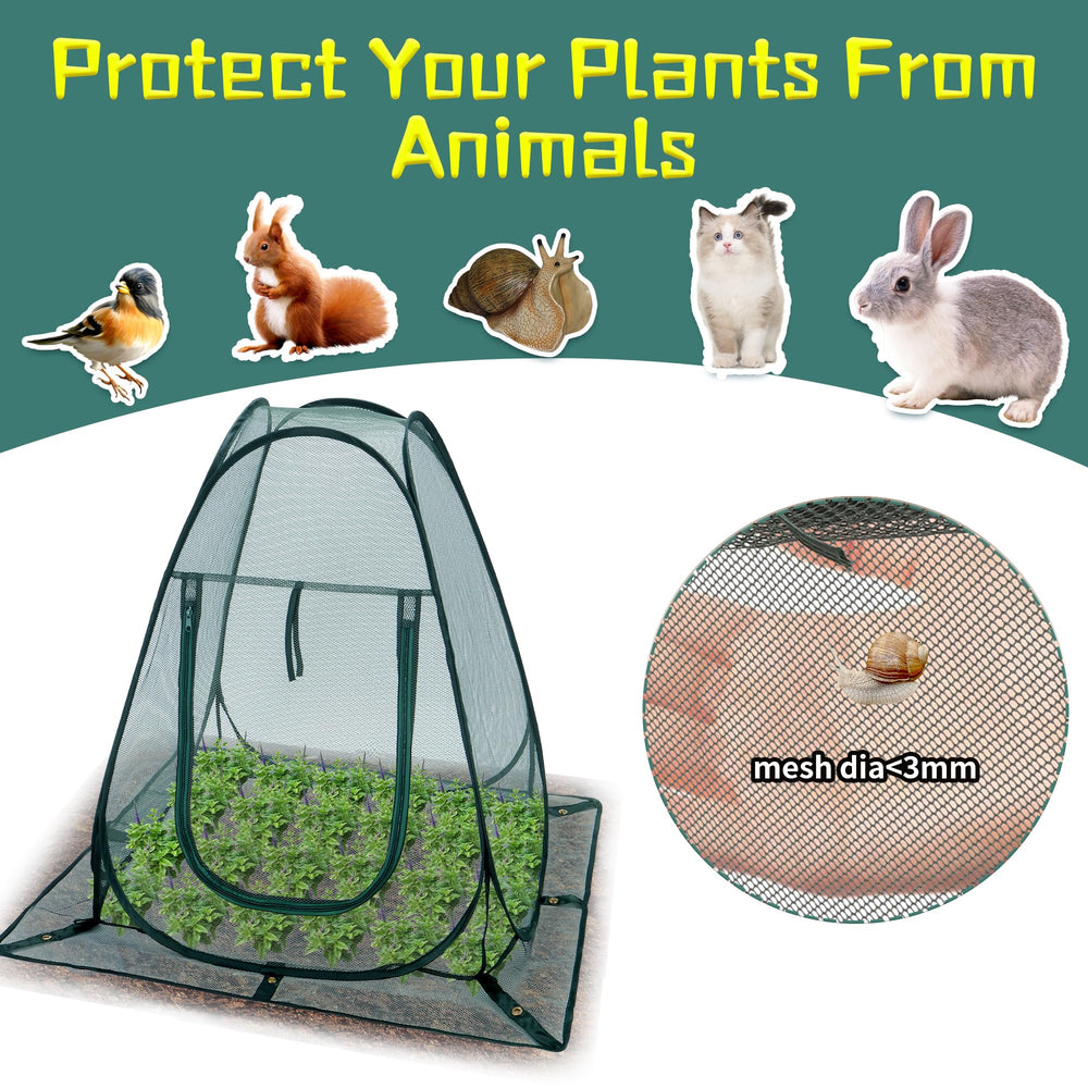 Homiton metal stakes anchoring the tent to resist wind and animals