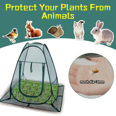 Homiton metal stakes anchoring the tent to resist wind and animals