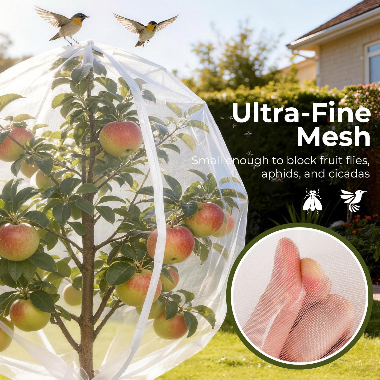 Homoda netting installed on a tree protecting fruit from birds
