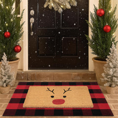 Homydecor layered coir mat and plaid rug at an entry showcasing coordinated styling