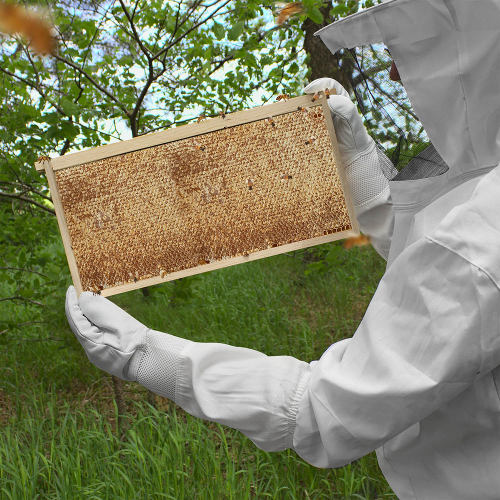 Honey Keeper frame installed inside Langstroth box, improves hive management