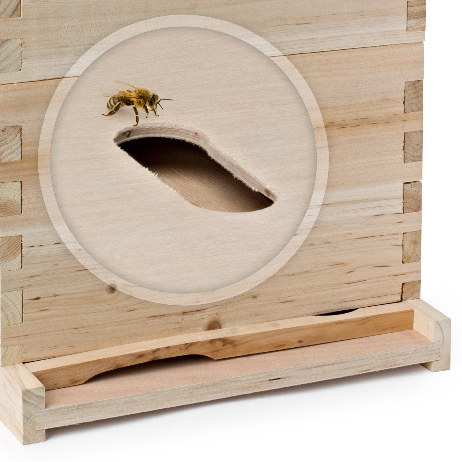 Honey Keeper plastic queen excluder close-up keeping brood separate from honey supers