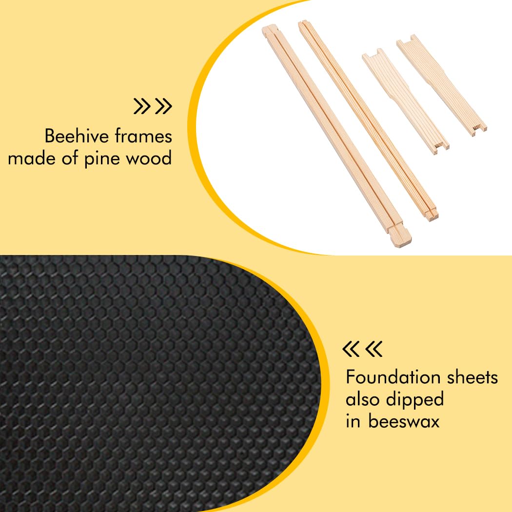 Honey Lake assembled hive in backyard offering natural insulation benefits