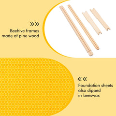 Honey Lake close-up of beeswax-dipped plastic foundation showing bee-acceptance advantage