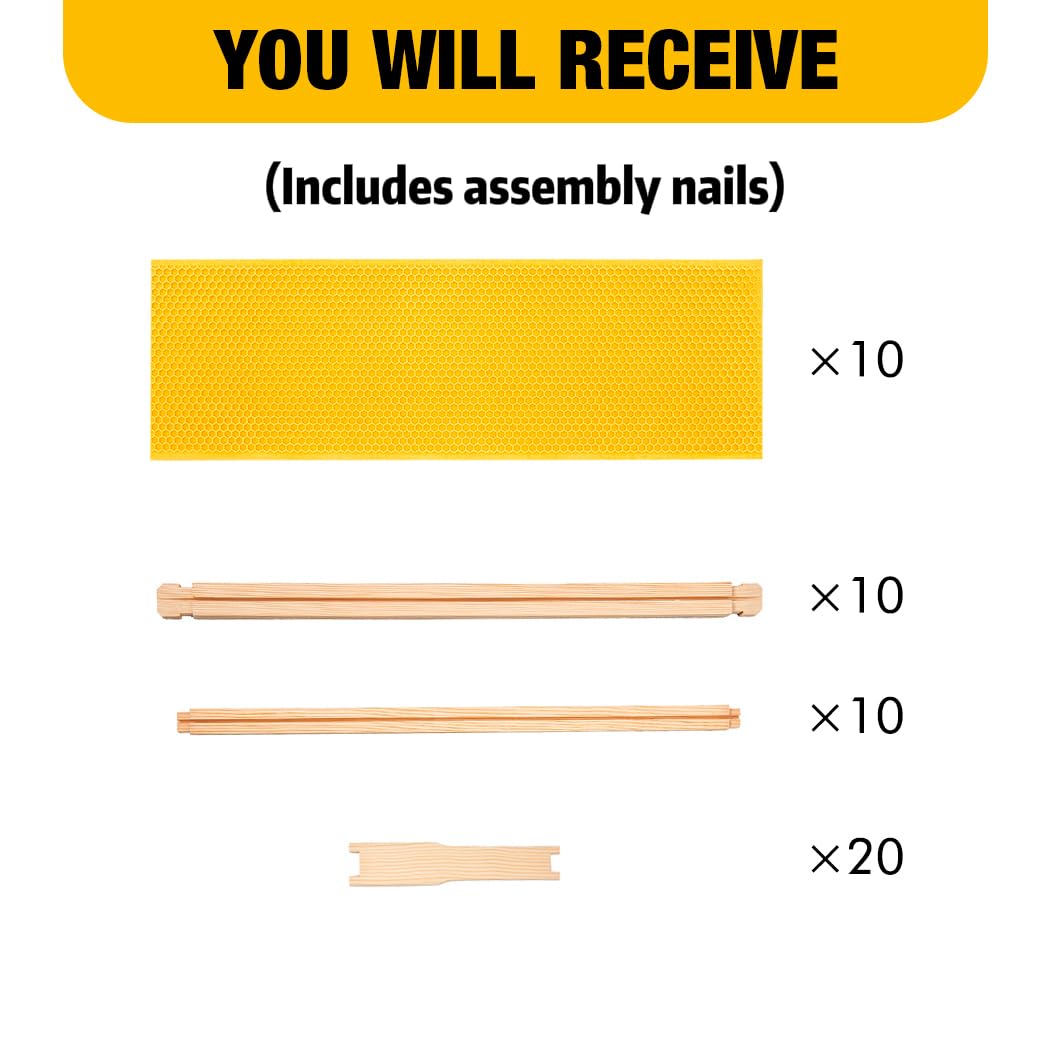 Honey Lake frame beside ruler displaying 6.3 x 19 x 1.4 inch size for fit verification