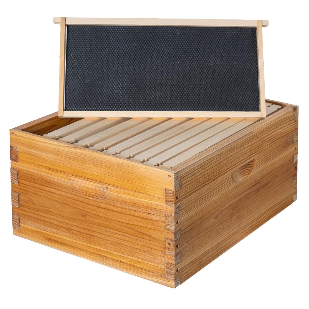 Honey Lake front view of deep brood box showing size and fit benefits