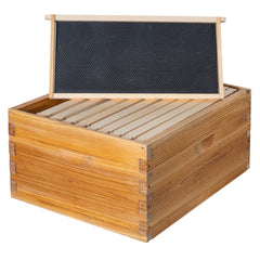 Honey Lake front view of deep brood box showing size and fit benefits