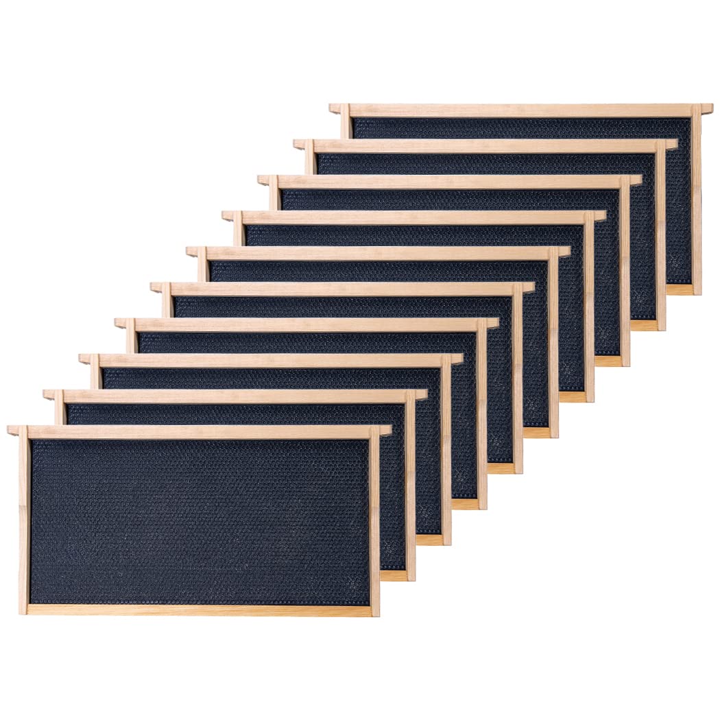 Honey Lake front packaging showing ten deep frames and black foundation, clear supply benefit