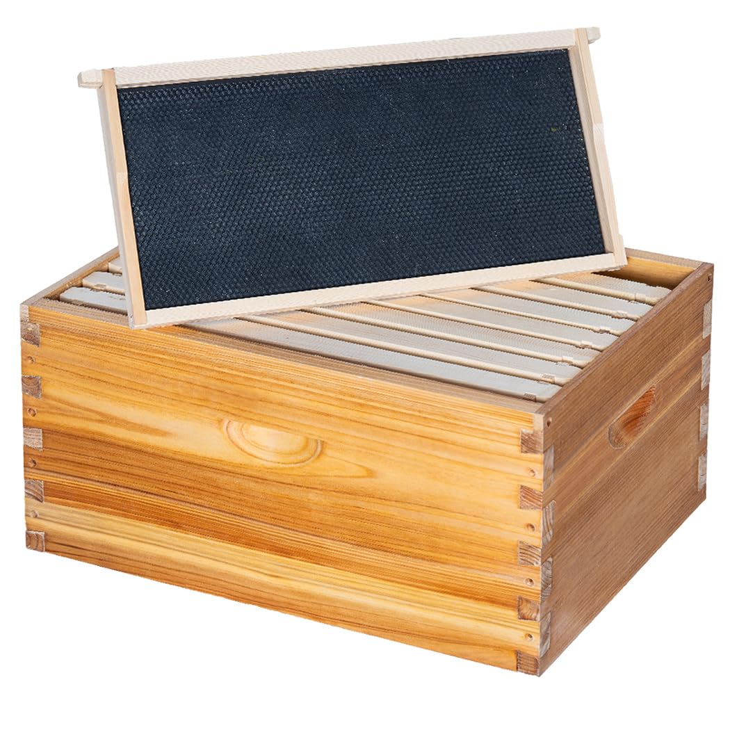 Honey Lake front view of assembled deep brood box showing sturdy cedar construction and durability