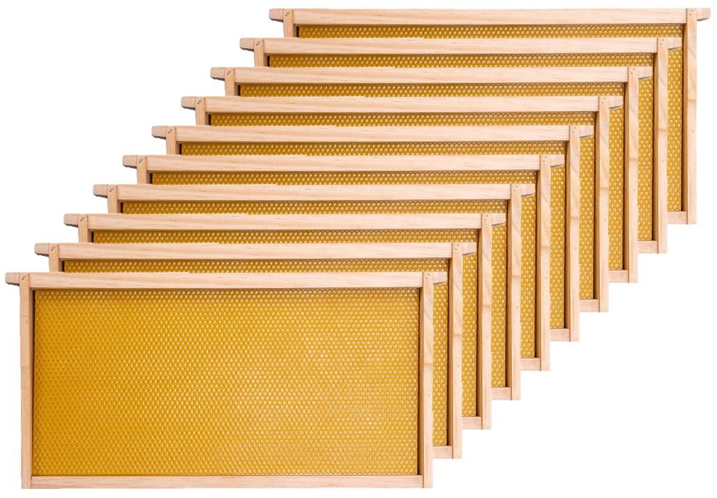 Honey Lake front view of deep frames pack showing ready-to-assemble kit and convenience