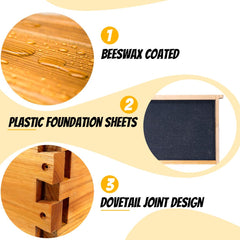 Honey Lake frames and waxed foundations inside box for quick colony setup
