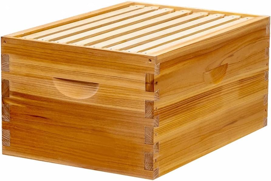 Honey Lake hive box installed at apiary illustrating ready-to-use equipment for backyard beekeepers