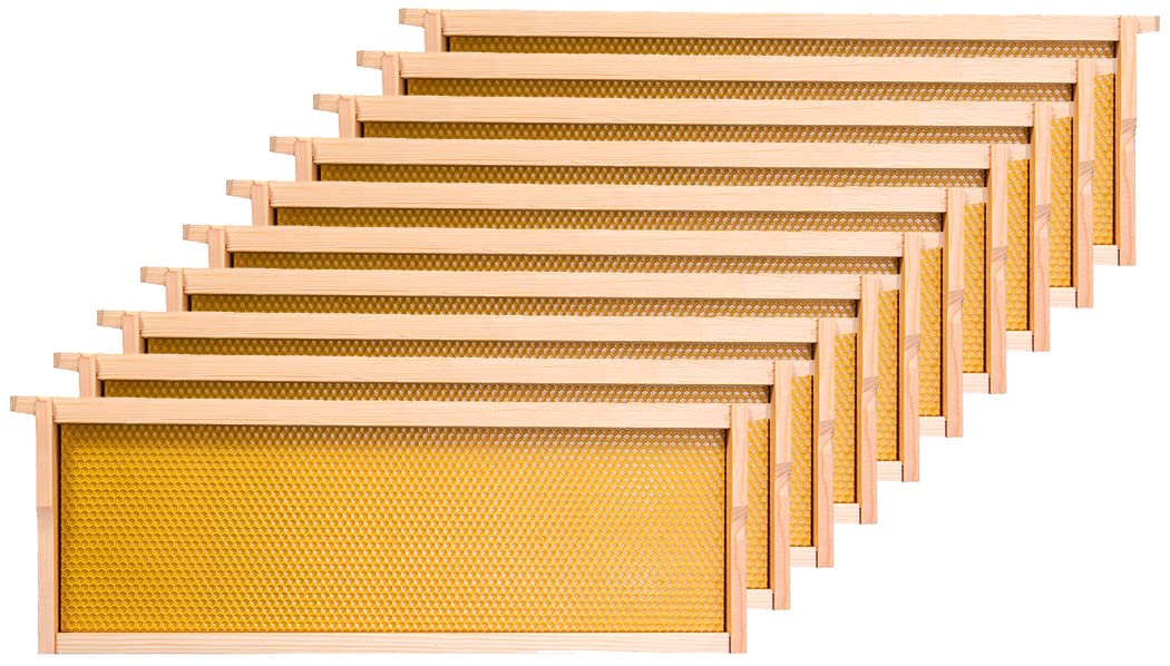Honey Lake front view of assembled medium wooden frame showing sturdy construction and durability