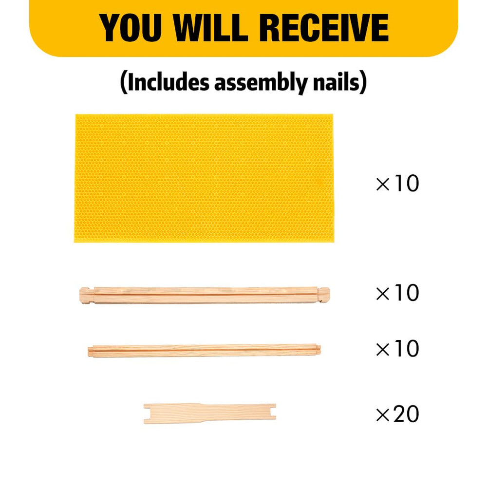 Honey Lake scale comparison with hand to show correct deep frame sizing for planning
