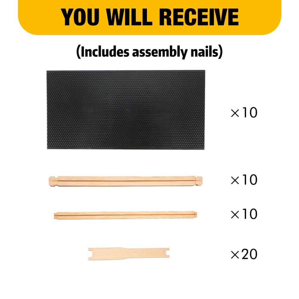 Honey Lake frame next to ruler for size scale, confirms correct deep frame dimensions