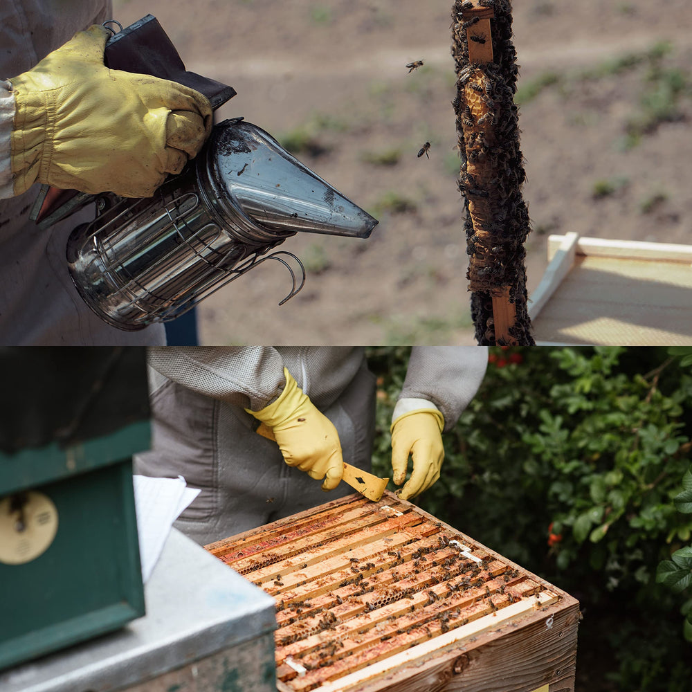 Honey Lake bee smoker in use at a hive calming bees for safer inspections